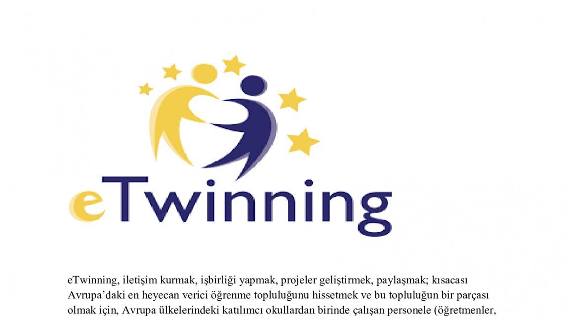 e twinning nedir nene hatun mesleki ve teknik anadolu lisesi